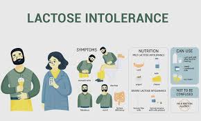 Image result for Lactase Deficiency