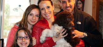 Devant le nombre toujours croissant d'abandons de chiens et de chats, les refuges et associations de. Noble Caniche Famille D Accueil