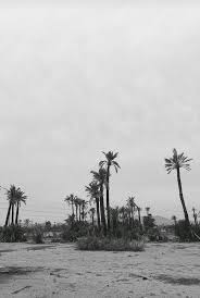 Please contact us if you want to publish a black. 248 Images About Black White On We Heart It See More About Black And White Black And Photography