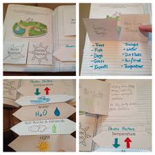 Biotic And Abiotic Factors For Inb S In Science Environmental Science Activities Life Science Activities Ecosystems Interactive Notebook