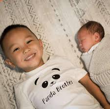 Decent bakeries around for celebration cakes?