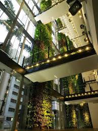 A Green Wall In Singapore Interior Walls Like This Have Less Of An Environmental Impact However It Does Mak Green Architecture Green Wall Design Green Facade