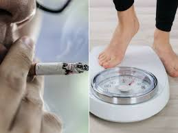 How many carrots are there? Why Smoking Makes You Lose Weight And No It S Not A Good Idea The Times Of India