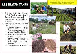Aflatoksin dapat menghambat pertumbuhan anak dan mengganggu janin jika dikonsumsi wanita hamil. Bahan Organik Tanah Mk Dasar Ilmu Tanah Oleh Soemarno Ppt Download