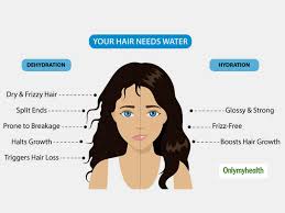This is made of minerals, vitamins, and shark. Hair Loss Due To Dehydration 4 Tips For Prevention