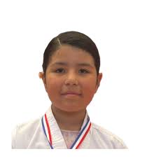 Karate software for tournaments: the best software for the rapid  development of any Karate Tournament: Registrations