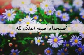 اصبحنا واصبح الملك لله أكتب اسمك على الصور plants