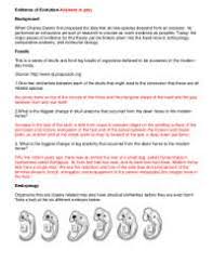 Darwin, evolution, & natural selection. Evidence Of Evolution Worksheet With Answers Docsity