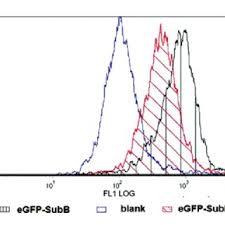 Stats galleries rankings forums betting live fantasy. Pdf Immunobiology Of Diphtheria Recent Approaches For The Prevention Diagnosis And Treatment Of The Disease