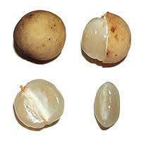 Lanzones is a kind of fruit. Lansium Parasiticum Wikipedia