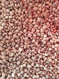Only 3 may be visible if the plant is young. Ginseng Seed Sowing Guide Learn How To Plant Ginseng Seeds