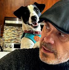 Salut groupe ! Penser vous qu'un chiot de 4 mois et demi peut commence son  adolescence ? Genre je reconnais pu mon chien c'est un vrai DÉMON !!!!  avant il écoutait super