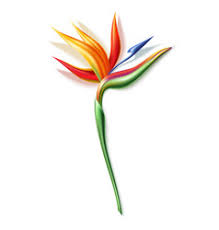 I'm sure you will be thrilled to see realistic flower drawings on a. Drawing Flower Realistic Vector Images Over 6 100