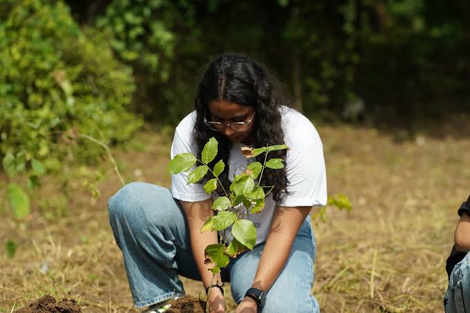 Neighbourhood Plantation Drive
