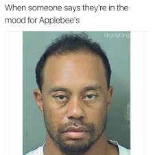 Tuesday Night Dump Tiger Woods Celebrity Mugshots Mug Shots