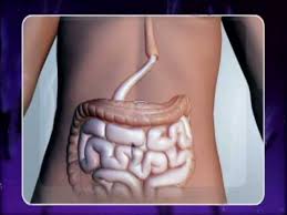 Stomach cancer affects around 7000 people in the uk each year. Surviving Stomach Cancer Youtube