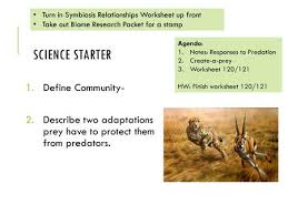 Aim Swbat Distinguish Between The Various Kinds Of Mimicry In The Biological World Please Do Now If Animals Are Capable Of Gaining An Advantage By Communicating Ppt Download