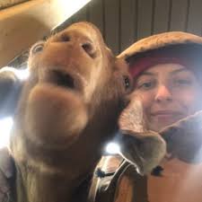 Maeve Wall (@_maeveywavey)