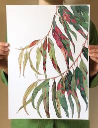 Gum Tree Print A5 10x8 A4 14x11 A3 Botanical Watercolour Etsy Eucalyptus Branches Art Branch Art