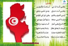 تقع تونس الخضراء في شمال القارة الأفريقية، حيث يحدّها دولتي الجزائر وليبيا، ولها سواحل تمتد على طول البحر الأبيض المتوسط من الشمال والشرق، عاصمتها مدينة تونس وهي المقر الخاص بالحكومة الوطنية التونسية، كما تحتوي على منطقة رأس أنجلة وهي أقصى نقطة في شمال. Madrassatii Com Wp Content Uploads 2018 12 D9