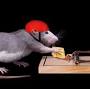 Profile Picture of David Trepp | Dark Reading (@darkreading.com) on Google