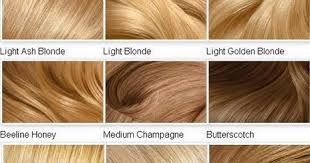 Blonde hair colours cool blonde hair colours for warm skin tones: Best Shades Of Blonde Hair Colors 2016 Hair Fashion Online