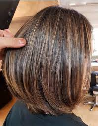 Elegant Brown Hair Shades Highlights For Short Hair In 2020 With Images Honey Brown Hair Brown Hair With Blonde Highlights Short Hair Highlights