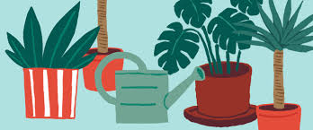 Application pour arroser ses plantes. Les Bonnes Idees Pour Mieux Arroser Ses Plantes Oui Le Magazine De La Ruche Qui Dit Oui