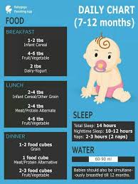 My Baby Is 6month Old Which Food Should I Give