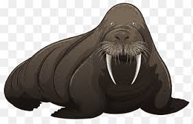 Singa laut travelindo (slt) menyediakan kebutuhan rencana liburan anda dan keluarga seperti. Kartun Singa Laut Png Pngegg