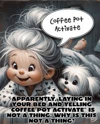 Apparently laying in bed and yelling "coffee pot activate" is not a thing.  Why is that not a thing yet?