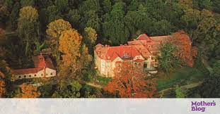 We did not find results for: Apodraste Mazi Me Ta Paidia Sas Sto Tatoi Ti Mporeite Na Kanete Pics Mothersblog Gr