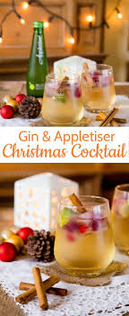 Gin Appletiser A Refreshing Christmas Cocktail Recipe Xmas Food Christmas Cooking Christmas Party Food