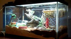 How To Make A Hermit Crab Habitat 5 Steps Instructables