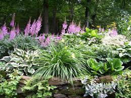 Loving Shade Shade Garden Shade Plants Backyard Garden Design