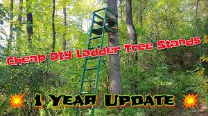 We've reviewed the 16 best tree stands to help you find one that works for you. Cheap Diy Ladder Tree Stands 2x4 S Youtube