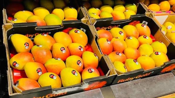 Mango