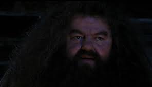 Harry Potter and the Sorcerer's Stone (2001)