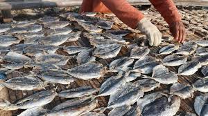 Berikut adalah 5 variasi masak ikan tongkol lezat untuk kamu coba di rumah! Hindari Keracunan Ikan Tongkol Dengan Cara Berikut Gaya Tempo Co
