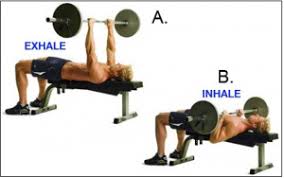Breathe In Breathe Out Breathing During Exercise Bmeg442 Engineering Exercise And Sports