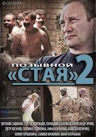 сериал позывной стая 2 сезон смотреть онлайн бесплатно все серии 2