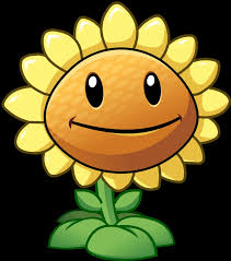 1 bootlegs 2 trivia 3 errors/inaccuracies 4 where to buy 5 gallery the normal size bootleg of this plush has noticeably darker petals, which are more orange than yellow. Plants Vs Zombies Pvz Sunflower Wishes You A Happy Earthday Facebook