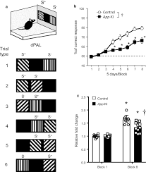 We did not find results for: Touchscreen Based Location Discrimination And Paired Associate Learning Tasks Detect Cognitive Impairment At An Early Stage In An App Knock In Mouse Model Of Alzheimer S Disease Molecular Brain Full Text