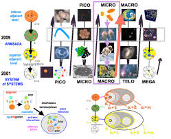 the classification periodic chart of the living systems