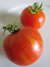 Pin Auf Tomaten Samen