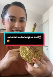 Jaca gigantesca mole e doce igual mel #frutas #jaca #dicas