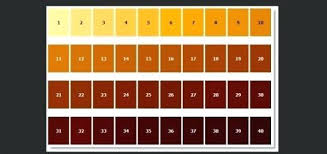 Gardner Scale Govtexam Co