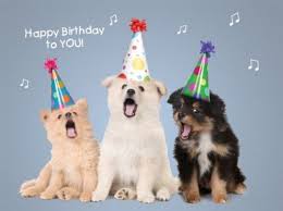 Dog Happy Birthday Images Happy Birthday Funny Dog Happy Birthday Dog Happy Birthday Funny Black labrador dogs love food and most everyone loves them. dog happy birthday images happy