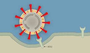 Maybe you would like to learn more about one of these? Coronavirus And Water Systems