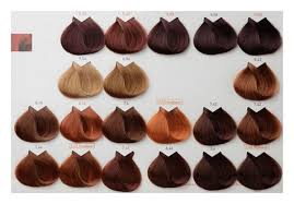 Biondi o castani, più chiari o più scuri: L Oreal Majirel Biondo Scuro Cenere Rame 6 14 50ml Planethair